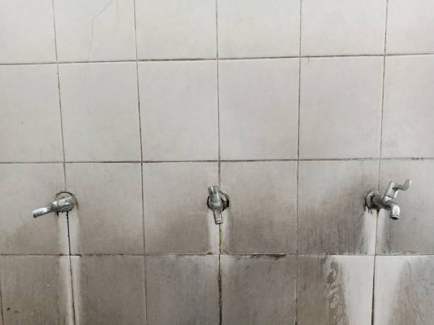 Best Water damage restoration near me  in New Town, ND