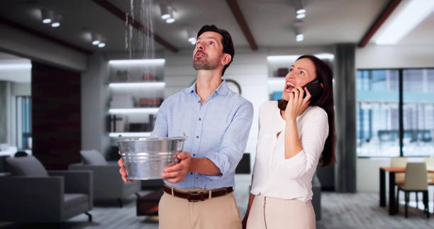 Best Mold removal after water damage  in New Town, ND